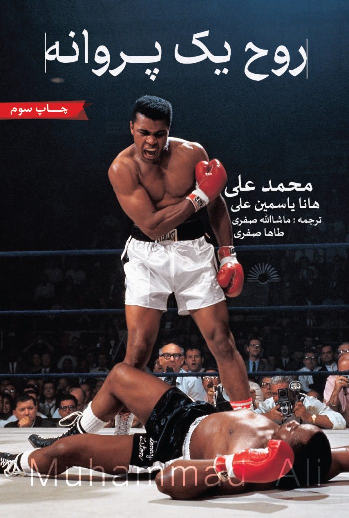 روح یک پروانه